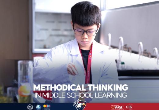 METHODICAL THINKING IN MIDDLE SCHOOL LEARNING