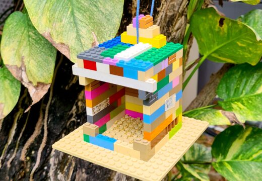 BIODIVERSITY PROJECT OF GRADE 6