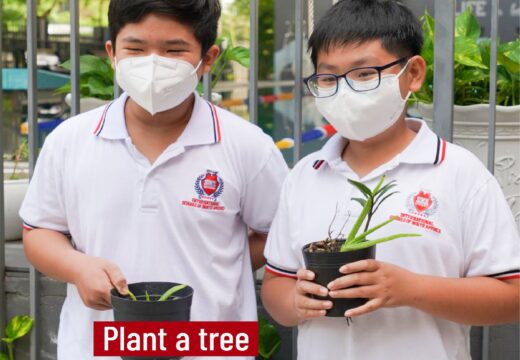 HAPPY EARTH DAY: PLANT A TREE – PLANT FOR THE PLANET