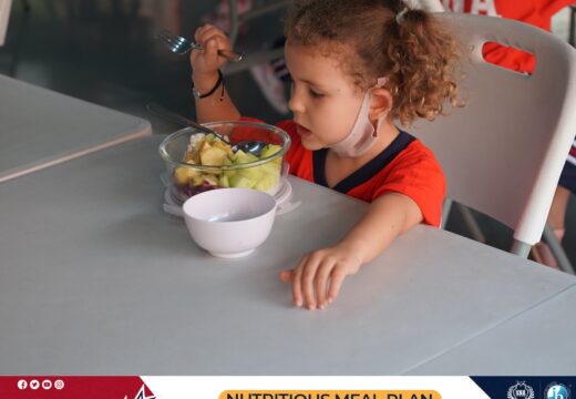 HEALTHY AND NUTRITIOUS MEAL PLAN AT SNA