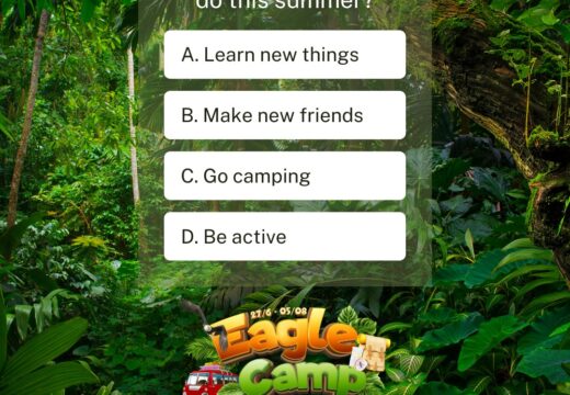 WHAT ARE YOU PLANNING TO DO THIS SUMMER?